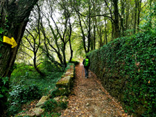 Portugal-Minho-Portuguese Camino